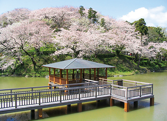 写真：清水船越堤公園