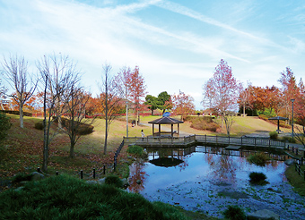 写真：清水日本平運動公園