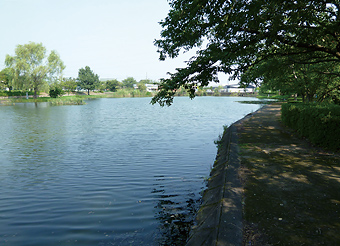 写真：青池公園