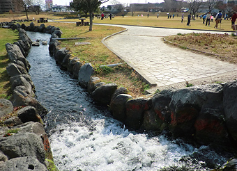 写真：馬込川上島緑地