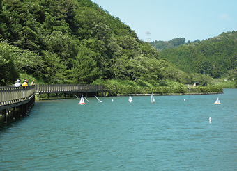 写真：丹野池