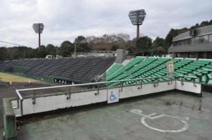 写真：愛鷹広域公園の車いす利用者用の野球場観覧スペース