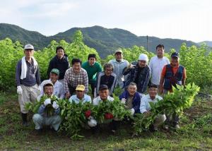 写真：松崎桑葉ファーム1