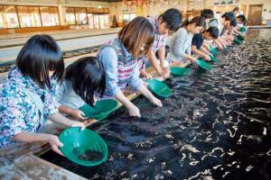 写真：土肥金山2