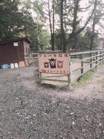 写真：アルパカ牧場の看板