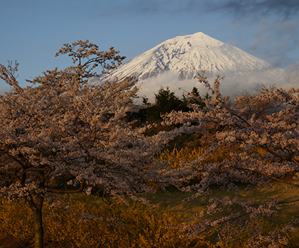 写真：平成23年度最優秀賞