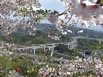 写真：平成26年度特別賞（道路利用者会議会長賞）