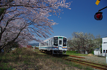 写真：平成27年度特別賞（天竜浜名湖鉄道社長賞）