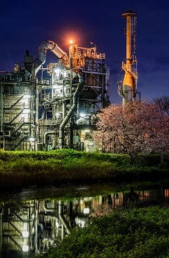 写真：平成29年度静岡県内の桜部門準特選1