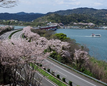 写真：平成29年度特別賞（静岡県道路利用者会議会長賞）