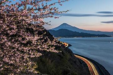 写真：平成30年度特別賞（静岡県道路利用者会議会長賞）