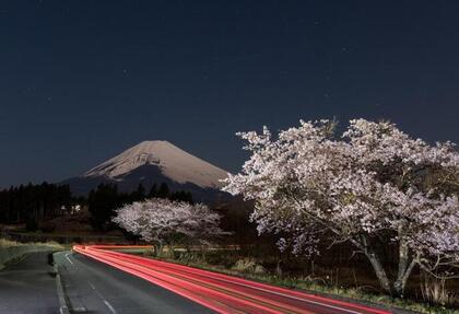 写真：令和2年度特別賞（静岡県道路利用者会議会長賞）