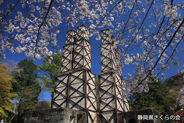 写真：静岡県さくらの会さくらの会写真コンクール平成27年度静岡県内の桜部門準特選「春の反射炉」