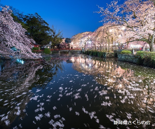 写真：煌めきの杜