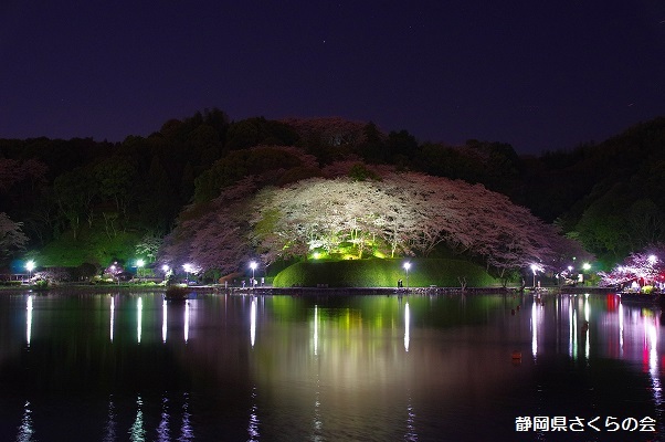 写真：ライトアップ