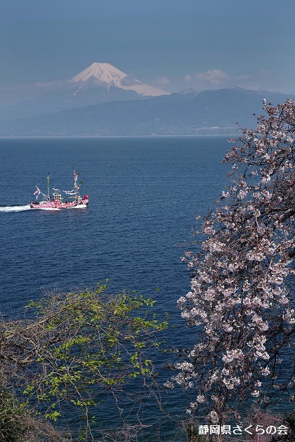 写真：春の海