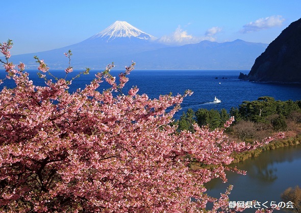 写真：海辺の春