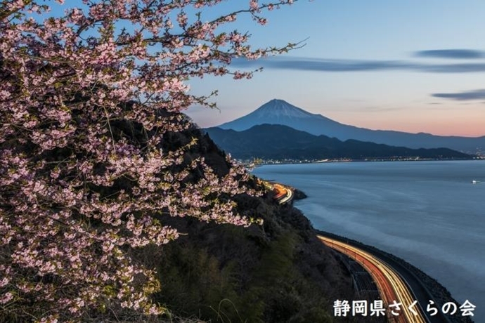 写真：春暁一刻