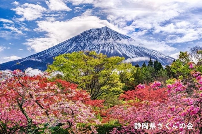 写真：令和の彩り