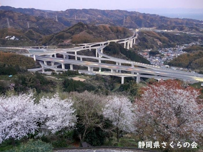 写真：薄暮の頃