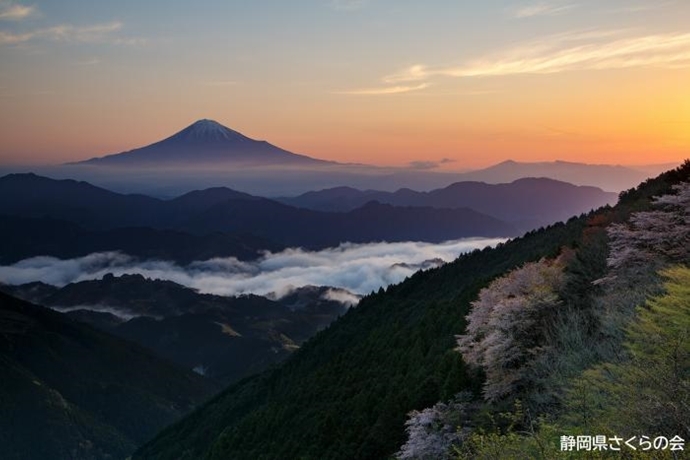 写真：春暁を望む