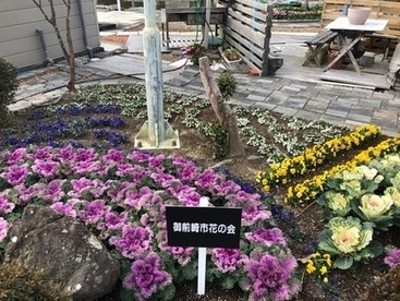 御前崎市花の会花壇の様子