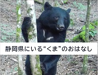 スライドの表紙