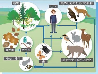 イラスト：多様性