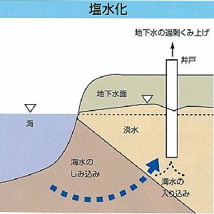 イラスト：塩水化のしくみ