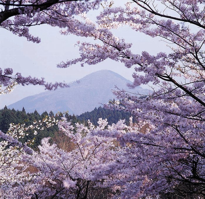 写真：伊賀富士