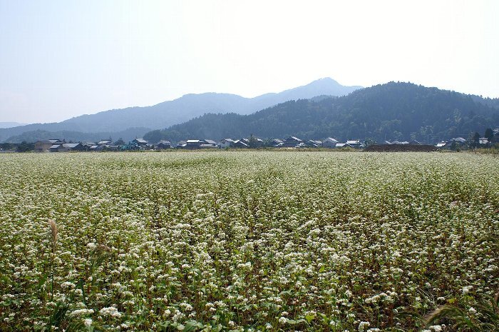 写真：角原富士