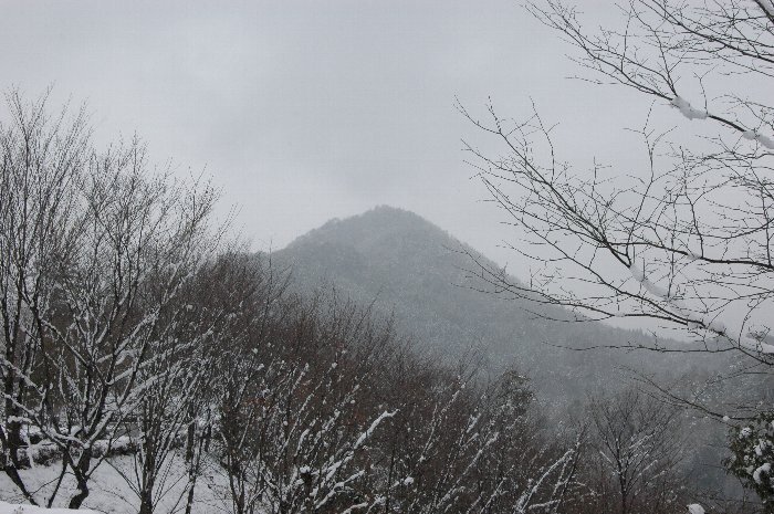 写真：山之上富士