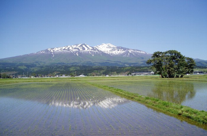 写真：出羽富士