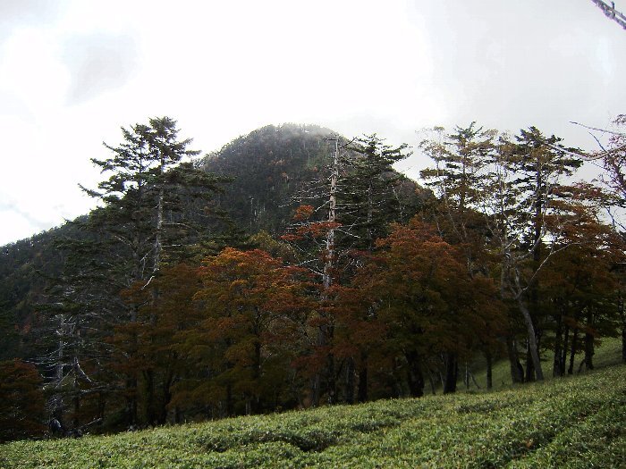 写真：千頭富士