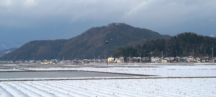 写真：但馬富士