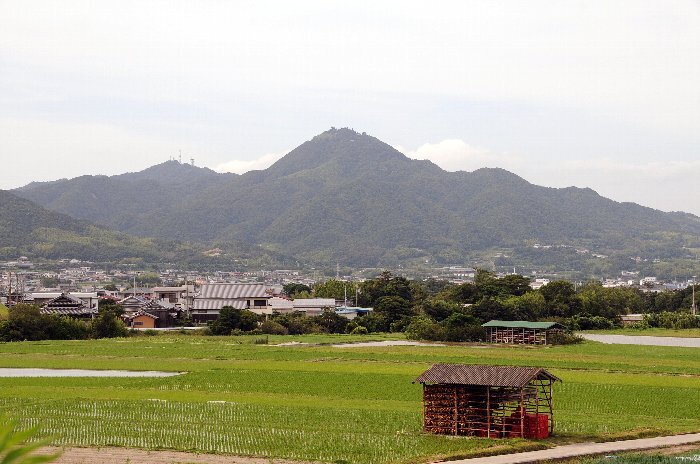 写真： 淡路富士