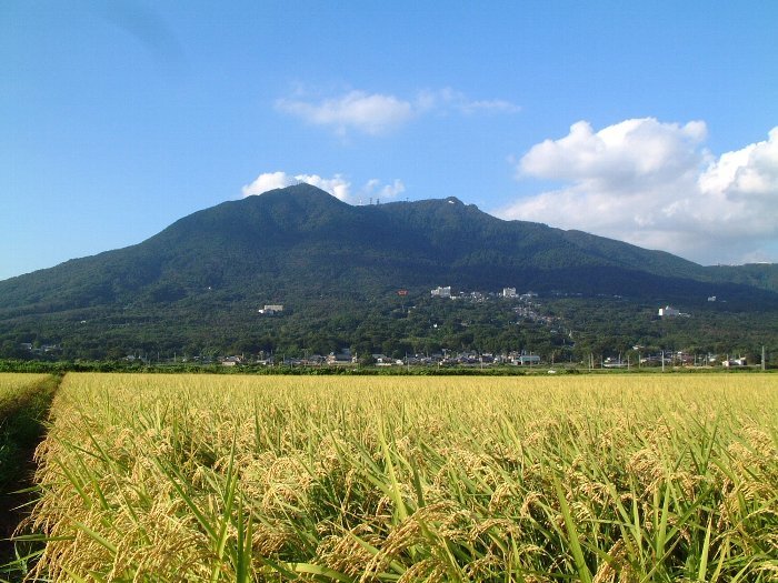 写真：筑波富士