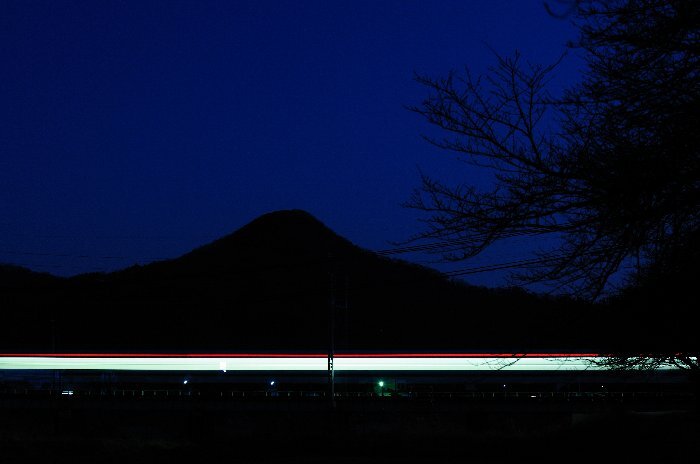 写真：中村富士