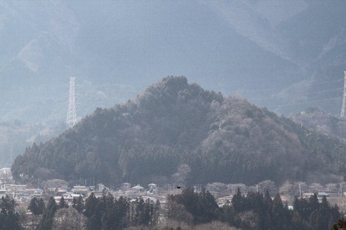 写真：弟冨士山