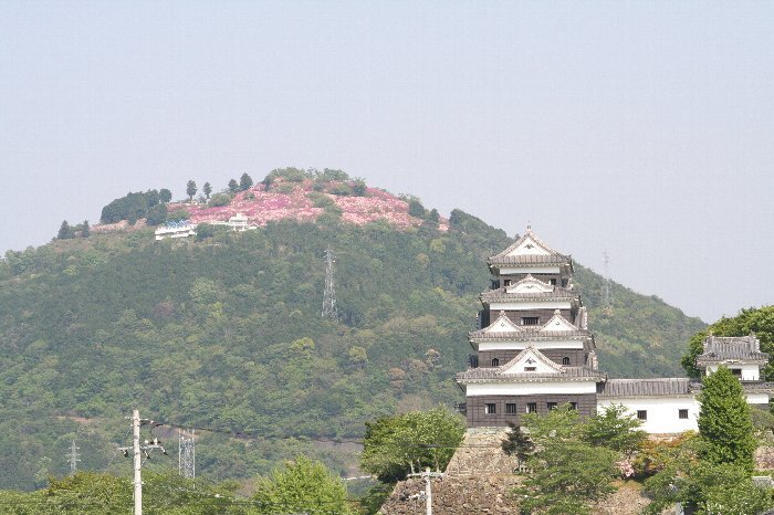 写真：冨士山