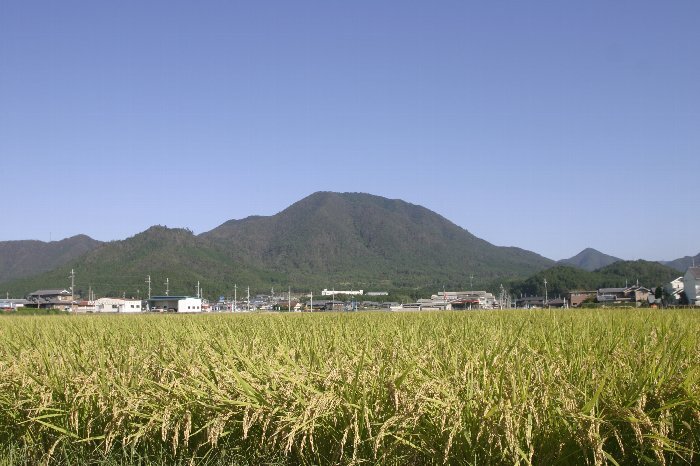 写真：妙見富士