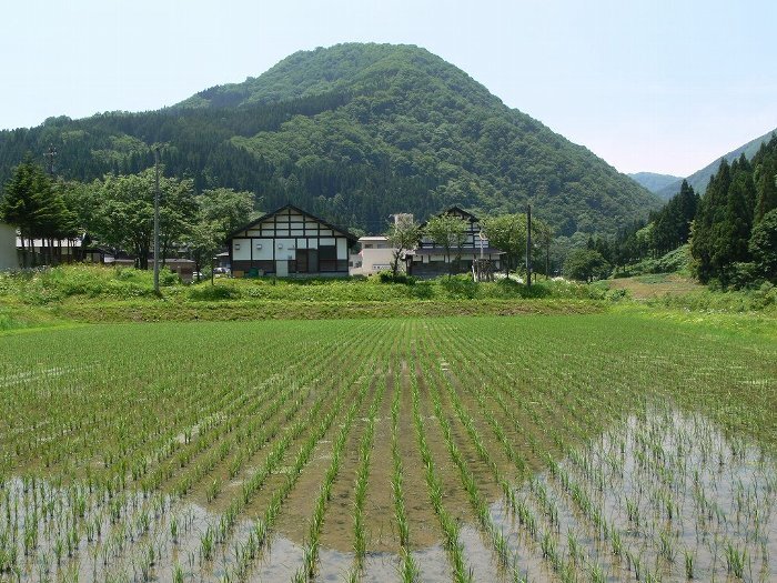 写真：利賀富士