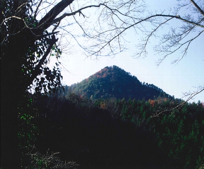 写真：山の上富士