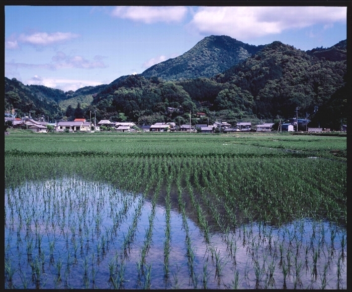 写真：神内富士