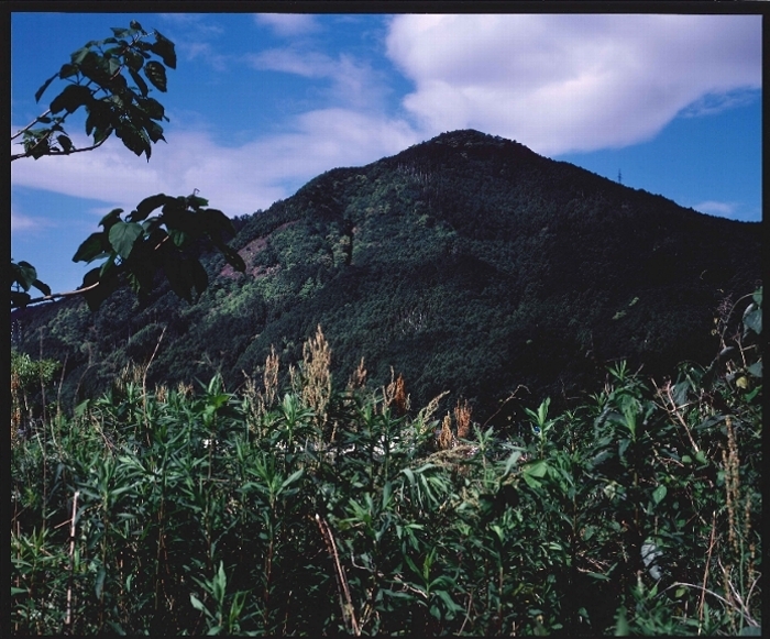 写真：鮒田富士