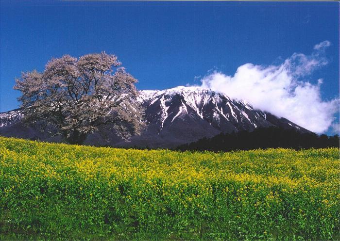 写真：岩手富士