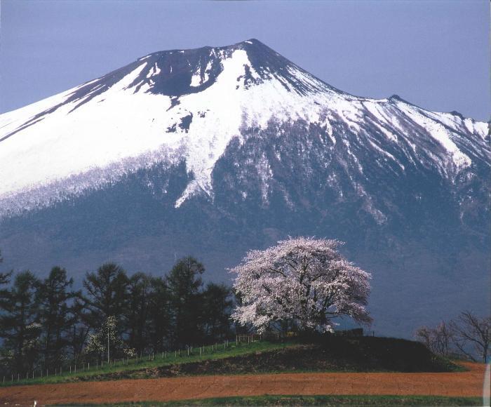 写真：岩手富士