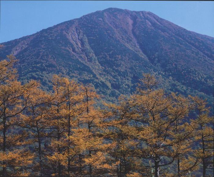 写真：日光富士