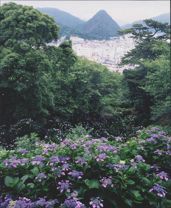 写真：下田富士