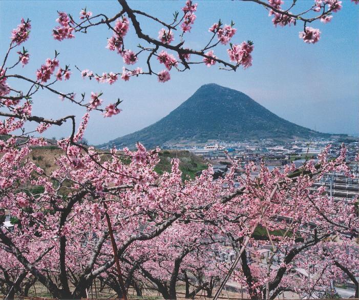 写真：讃岐富士